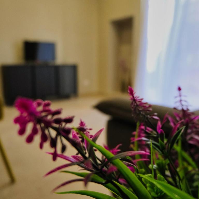 a Casa di Nino - nel cuore di Monopoli - Appartamento con 2 Camere da Letto - 50