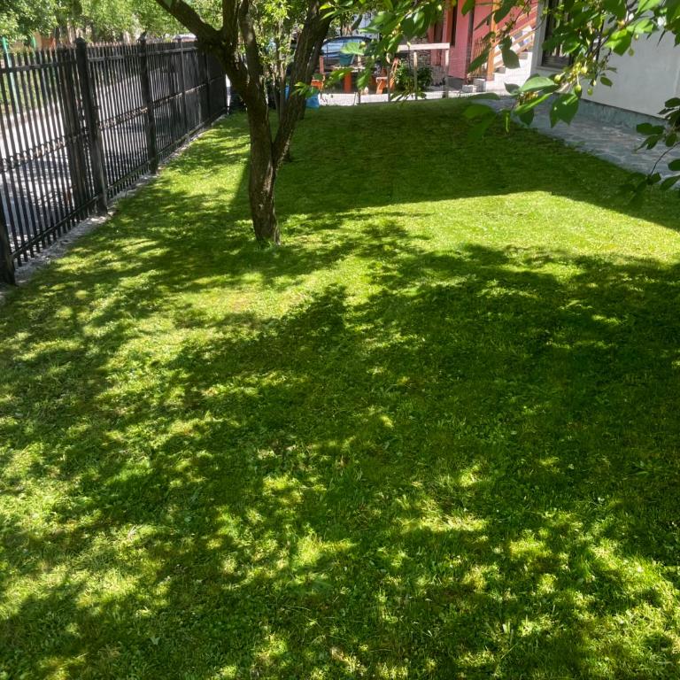 Villa - Vila sa 3 Spavaće Sobe - 8