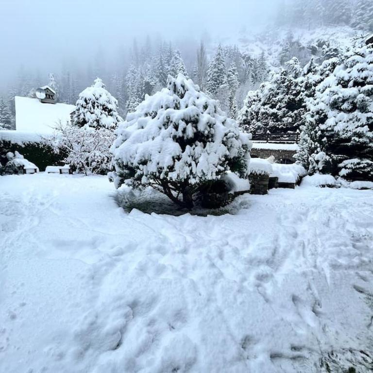 Monte Bianco elegant villa apartment Courmayeur - Appartamento - 29