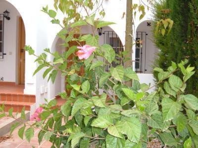 El Gran González Viviendas con Fines Turísticos - Apartamento de 1 dormitorio - 16