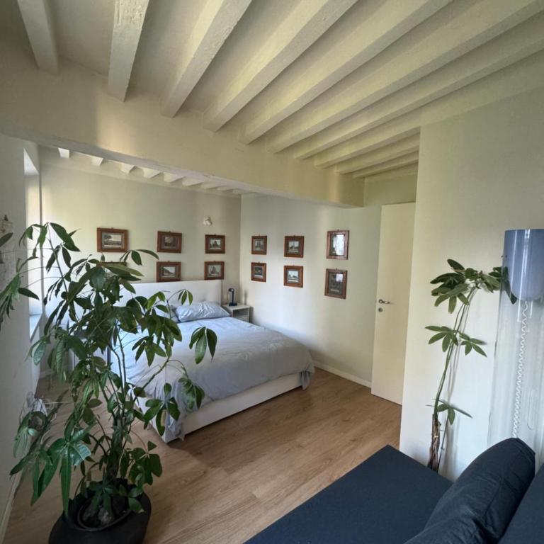 Beautiful Center Apartments - posti auto privati prenotabili - Appartamento Deluxe con 2 Camere da Letto - 1