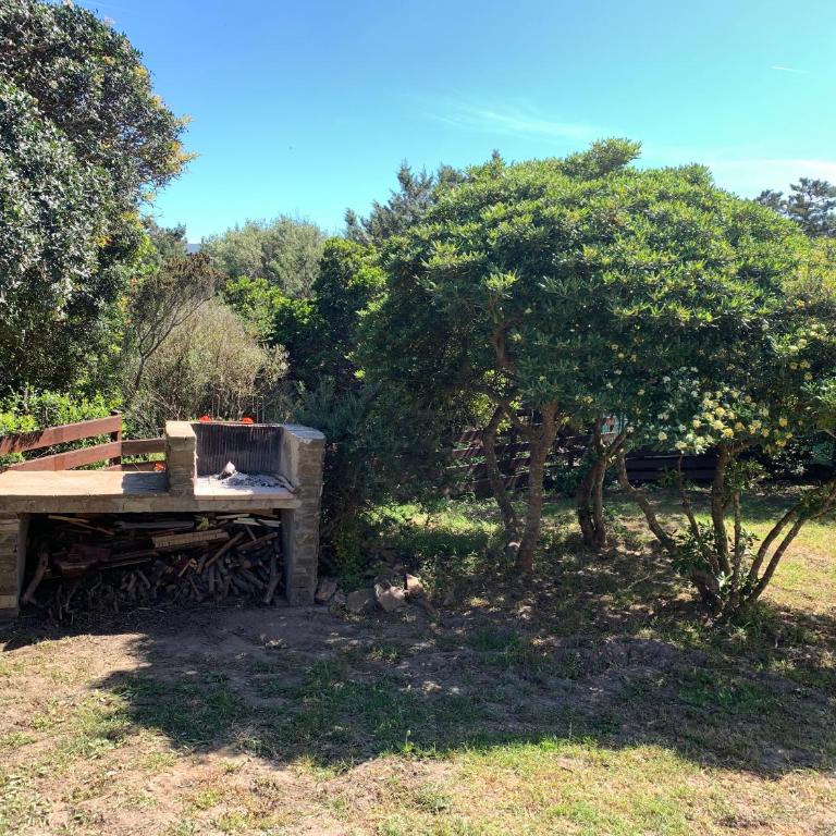 L' Elicriso, a pochi passi dal mare con giardino privato - The Elicriso, a few meters from the sea, with private garden - Appartamento con 1 Camera da Letto - 7