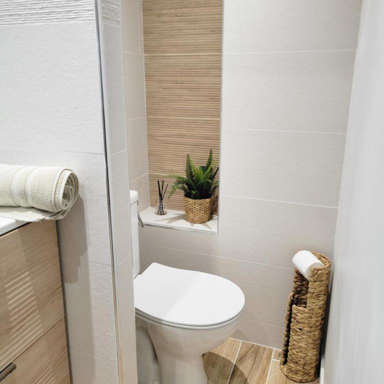 Grasse aux parfums - Appartement 1 Chambre - 24