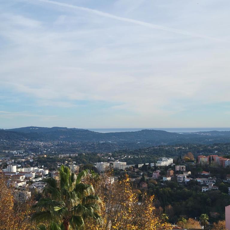 Grasse aux parfums - Appartement 1 Chambre - 37