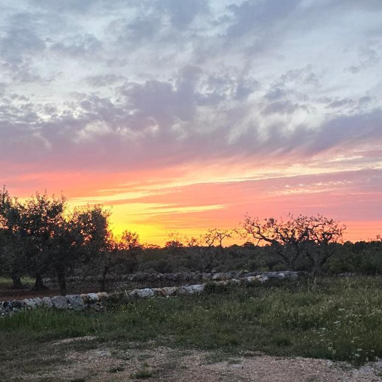 Trullo Olivia con piscina riscaldata, natura e relax - Three-Bedroom House - 61