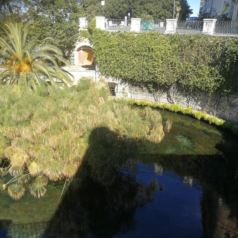 casa Ierone l'etneo - Classic Apartment - 12