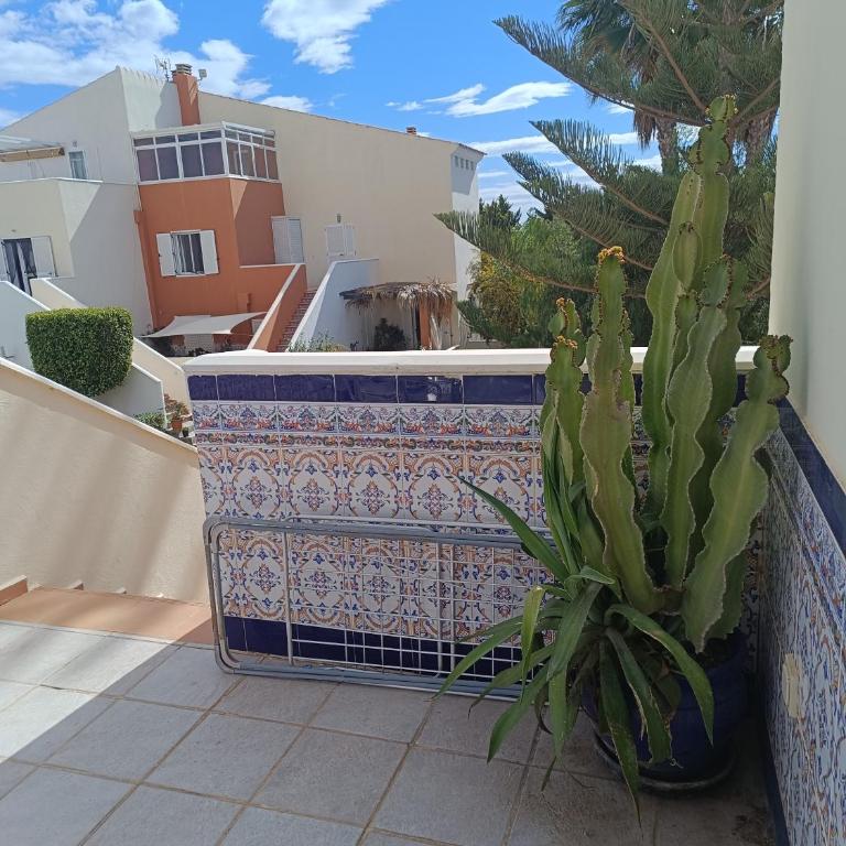 Vera Natura Apartamento Orion - Apartamento de 1 dormitorio - 29