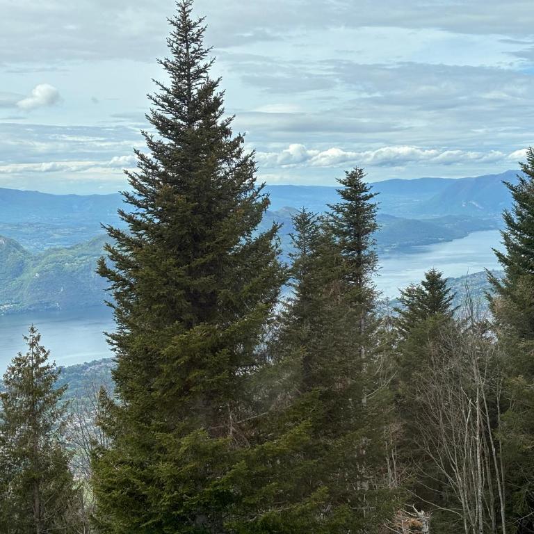 Chalet Le Bisolet - Chalet - 12