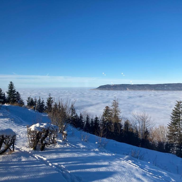 Chalet Le Bisolet - Chalet - 19
