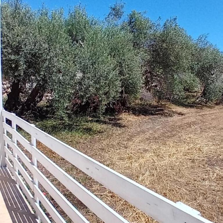 Casale Donna Morena - Casa con 2 Camere da Letto - 51