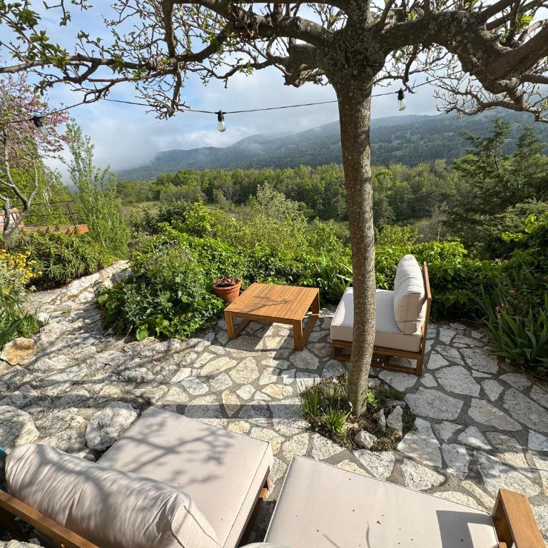 Le Vallon du Brec - Jardin classé remarquable - Monolocale - 6