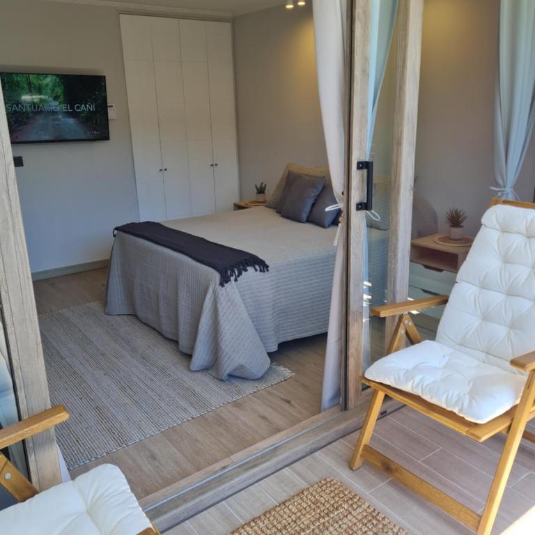 Hermoso departamento Pucón - Apartamento de 1 dormitorio - 1