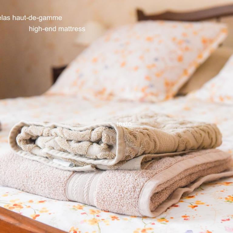 La Maison de Vacances de Colmar et son jardin - Casa con 3 Camere da Letto - 14