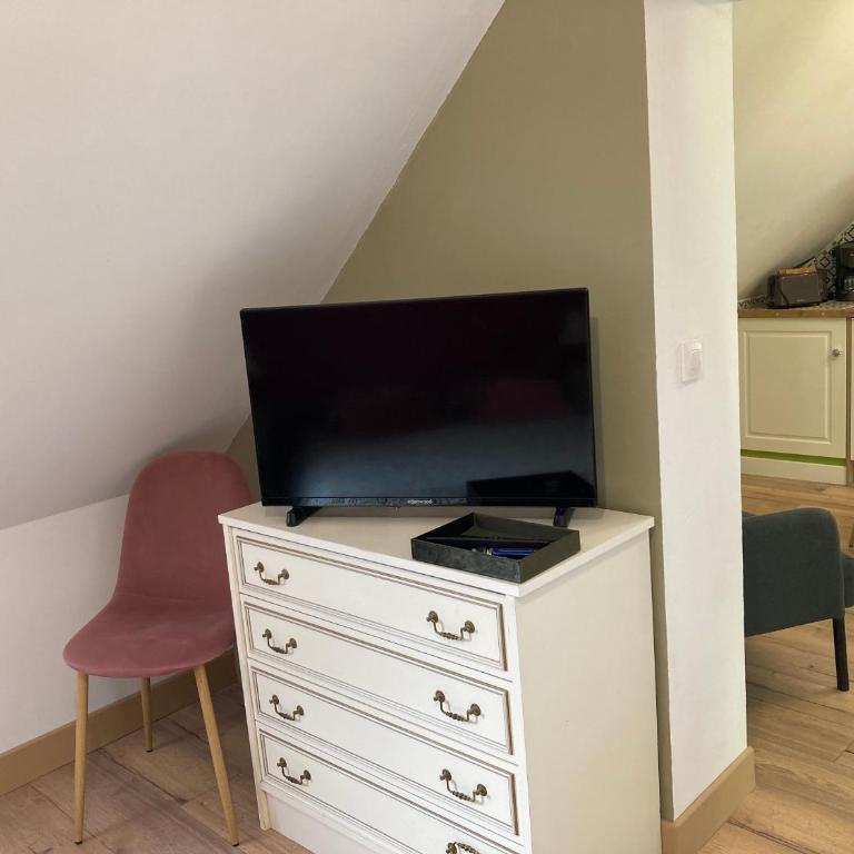 Un Amour de Grenier,à 200m du Zoo - One-Bedroom Apartment - 38