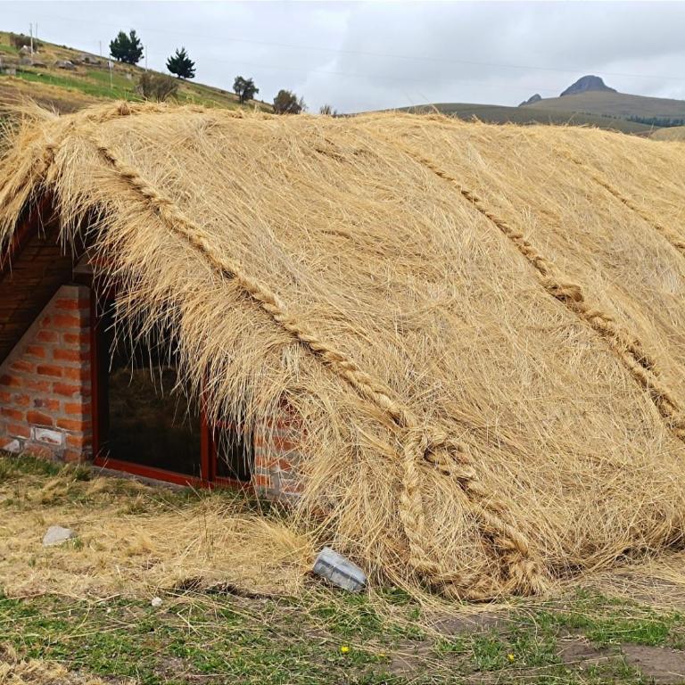 Chimborazo Basecamp - Bungalow de un dormitorio - 9