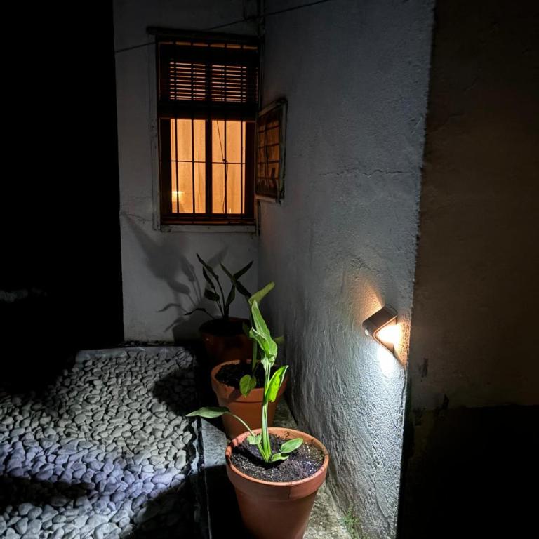 Huerta Del Pasil (Casa Entera) - Casa de 4 dormitorios - 12