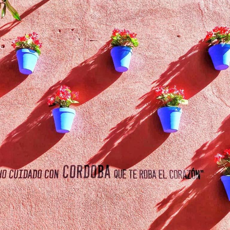 Apartamento Flor de Córdoba - Apartamento de 1 dormitorio - 22