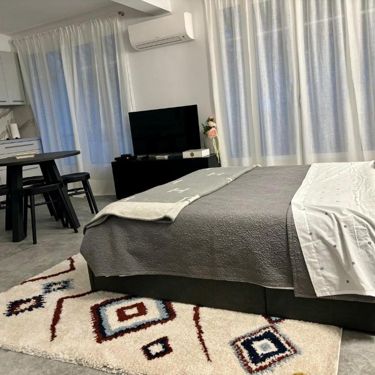STUDIO near Monaco sea view balcony - Appartement 1 Chambre - 27