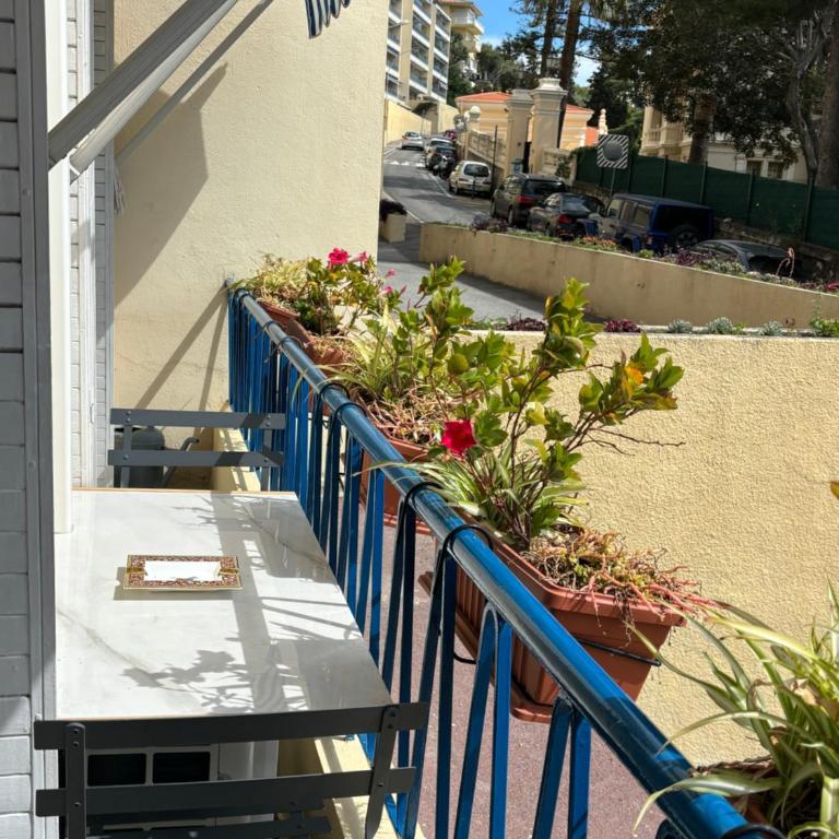 STUDIO near Monaco sea view balcony - Appartement 1 Chambre - 25
