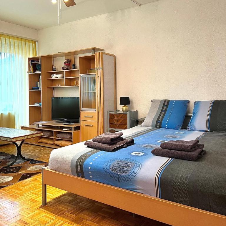 Studio Anémones, meublé, équipé, Monthey - Apartment - 1
