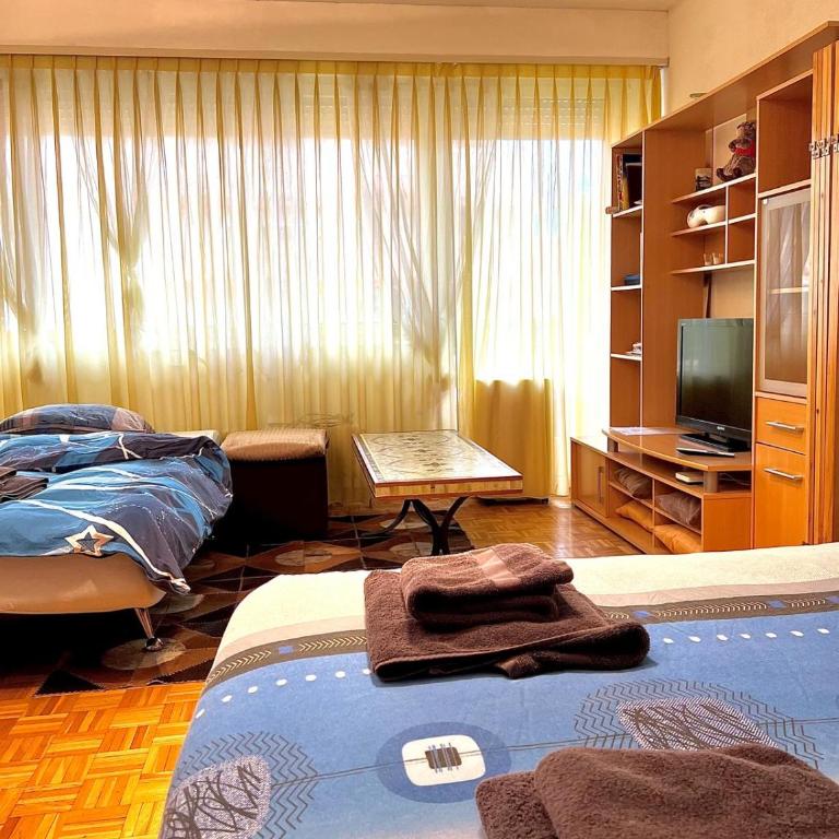 Studio Anémones, meublé, équipé, Monthey - Apartment - 6