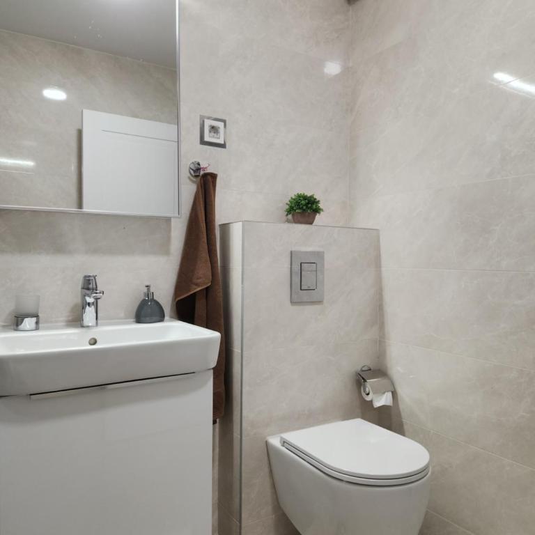 Green Apartments Podgorica With Garage - Deluxe King Studio - 10