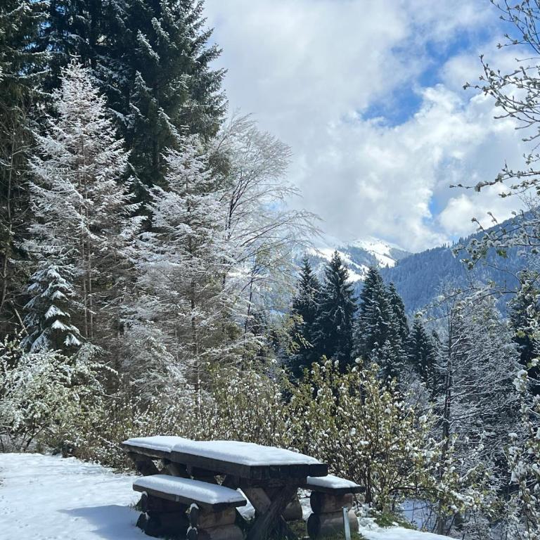 Maso Giulia - Chalet mit 2 Schlafzimmern - 34