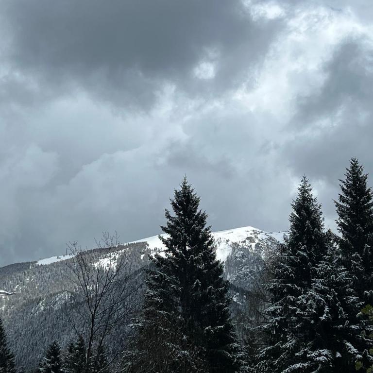 Maso Giulia - Chalet mit 2 Schlafzimmern - 36
