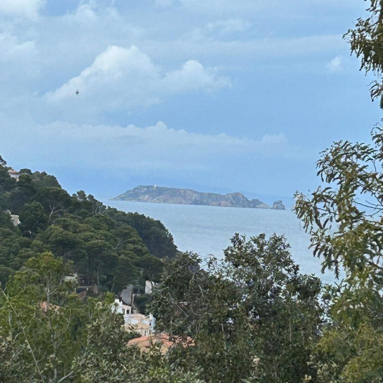 La Coma Sa Riera - Apartamento de 2 dormitorios con terraza y vistas al mar - 29