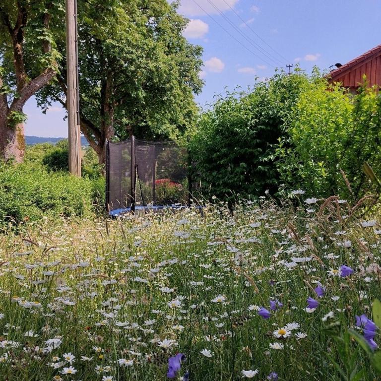 Hibiskus - Apartment - 20