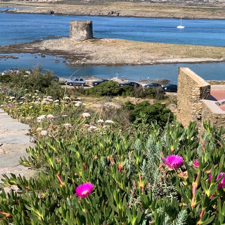 L' Elicriso, a pochi passi dal mare con giardino privato - The Elicriso, a few meters from the sea, with private garden - Appartamento con 1 Camera da Letto - 42