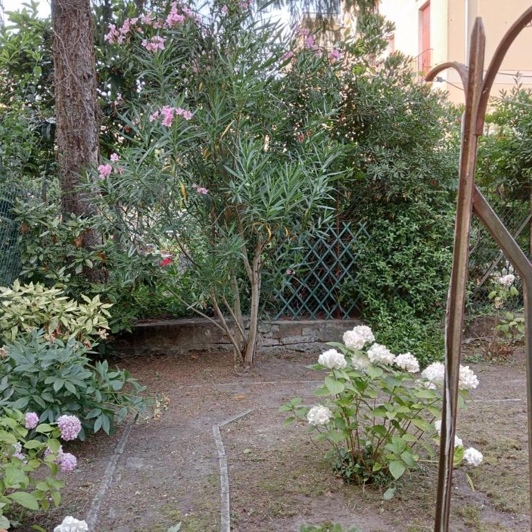 A casa da Pier - Appartamento con 2 Camere da Letto - 10