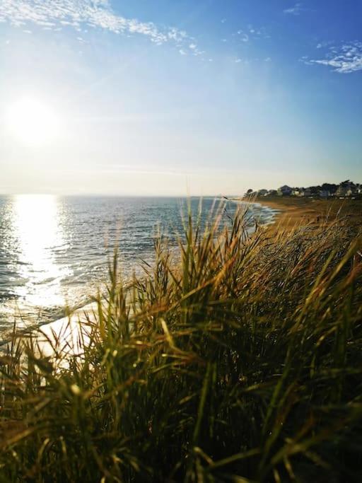 Sur la plage de Bonne Source les pieds dans l'eau - Apartment mit 1 Schlafzimmer - 18