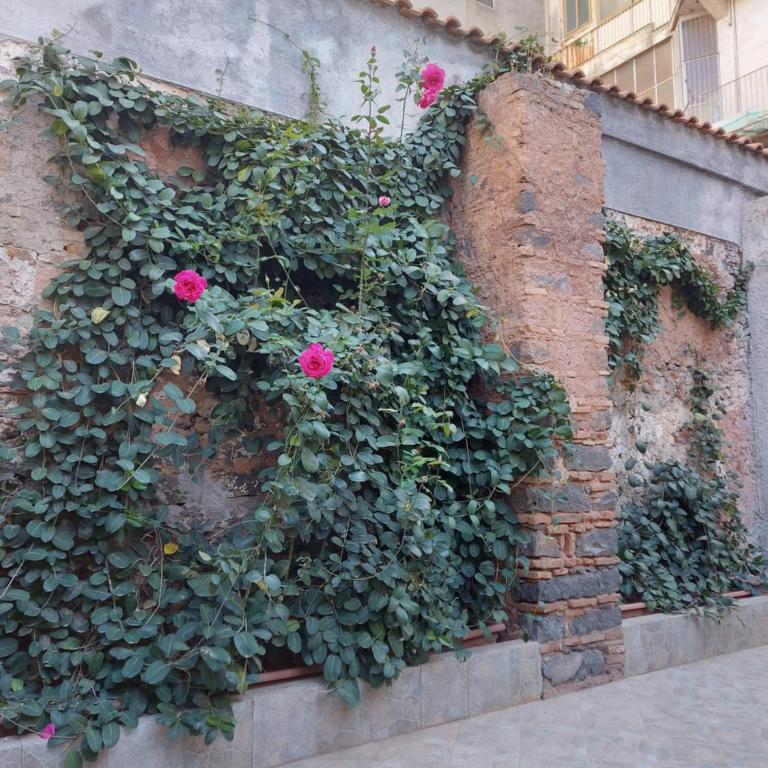 La Casina di Lù Loft centro storico Catania - One-Bedroom House - 14