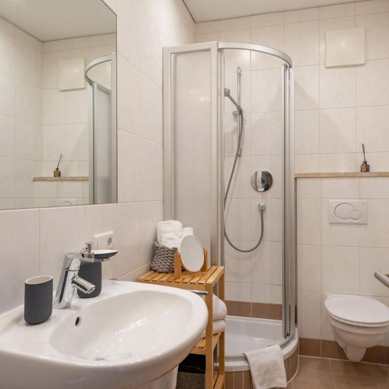 Bergviewhaus Apartments - Familienapartment (2 Erwachsene + 2 Kinder) Polven - 6