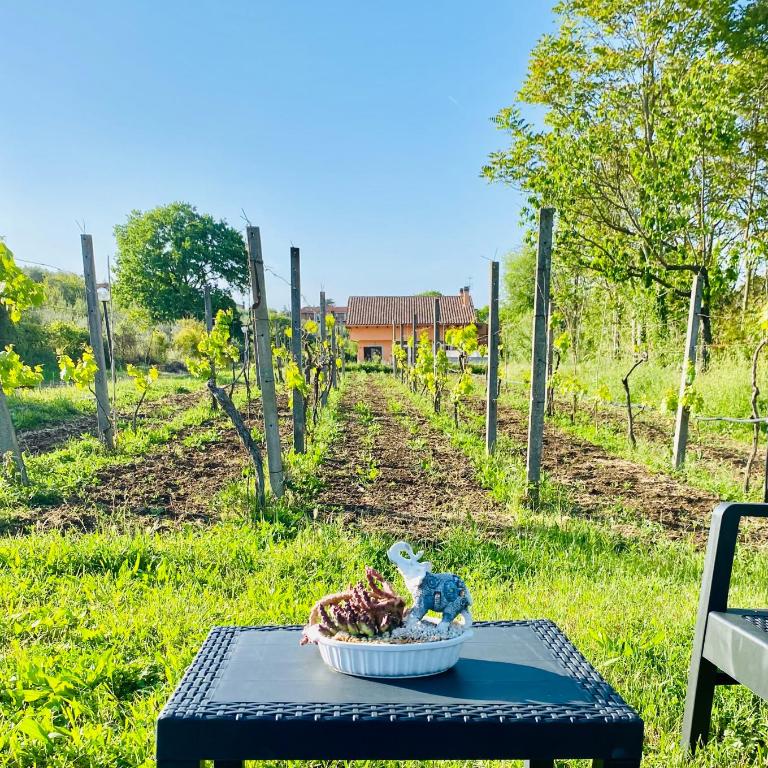 Villa Bubù, Appartamento Country-chic - Casa con 1 Camera da Letto - 23