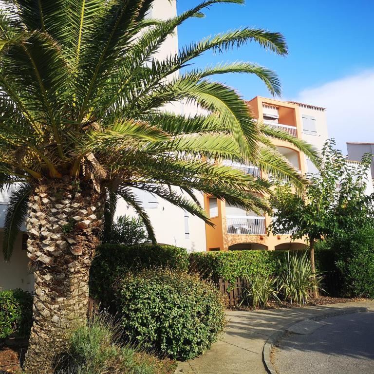 T2 résidence piscine et direct plage - Apartment mit 2 Schlafzimmern - 17