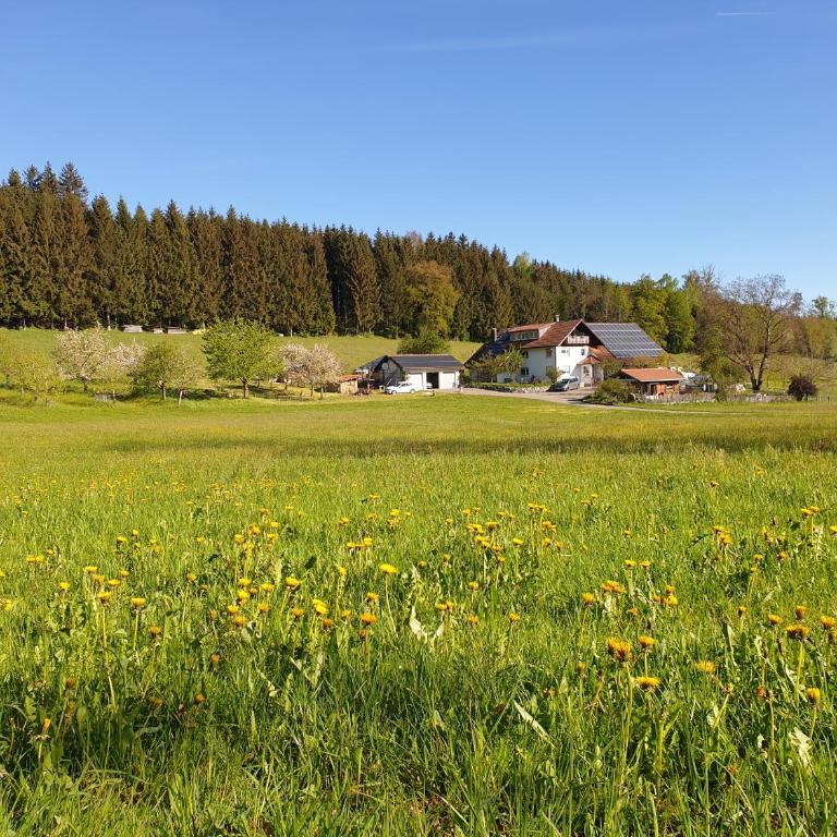 Ferienwohnung 'Get Moor' - Apartment mit Balkon - 17