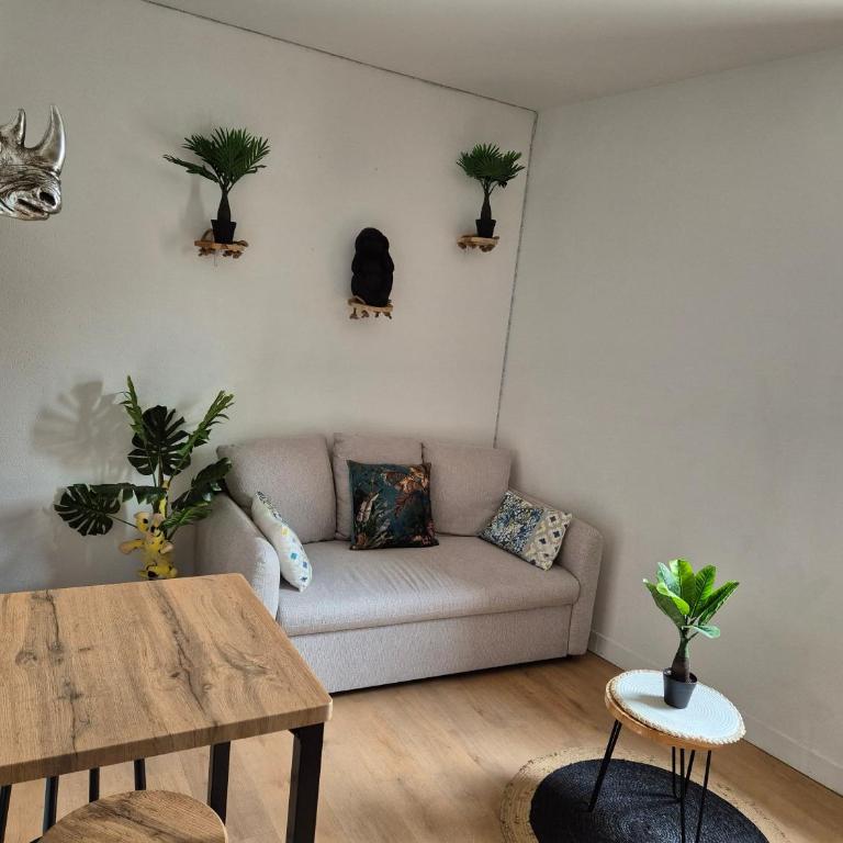 Le Jungle Appart, centre ville Narbonne - Appartamento con 1 Camera da Letto - 2