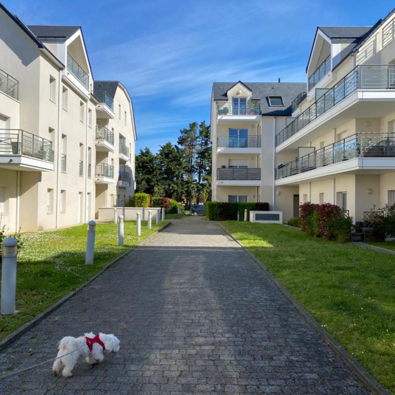Pornichet 3 mns de la plage avec jardin classé 3 étoiles - One-Bedroom Apartment - 3