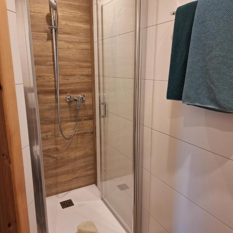 Loitzbauer Ferienwohnungen - Apartment (4 Adults) - 5