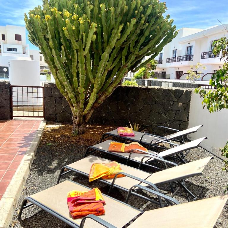 Casa Inma Las Piteras. Sol y agua - Apartamento de 2 dormitorios - 38