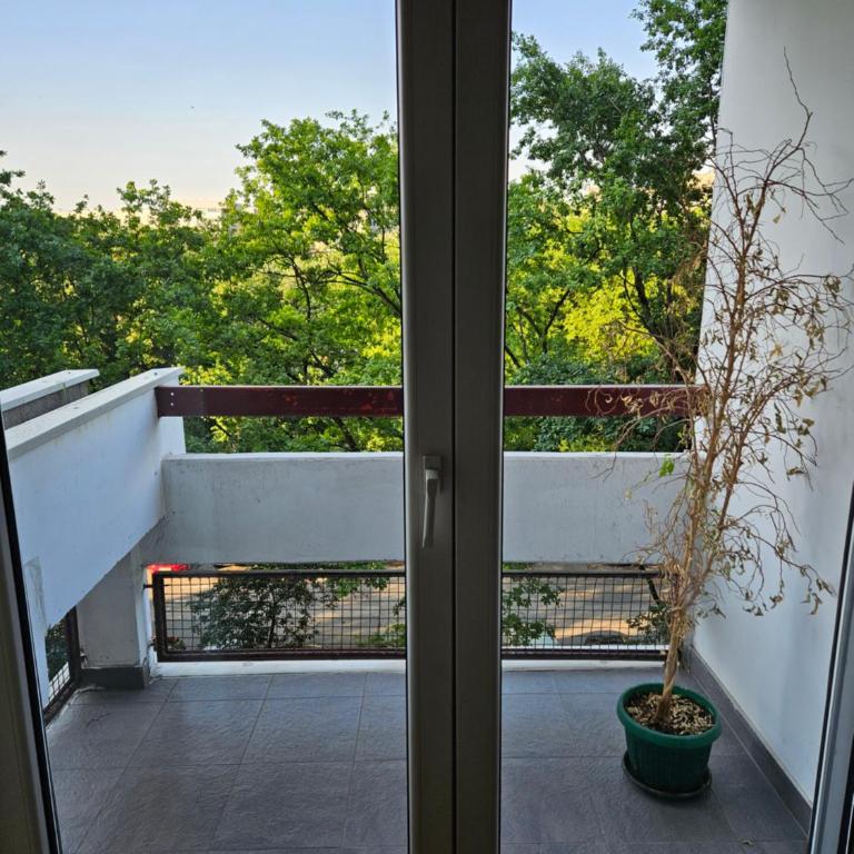 Alex&Buba (FREE private parking) - Apartman sa 2 Spavaće Sobe - 6