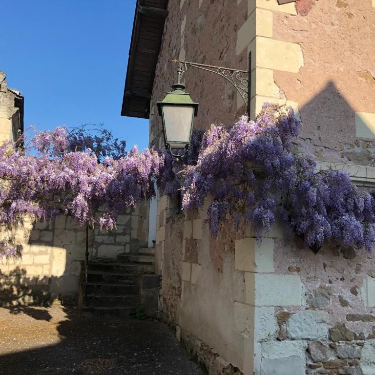 Magnifique maison de maître saumuroise - Maison 3 Chambres - 32