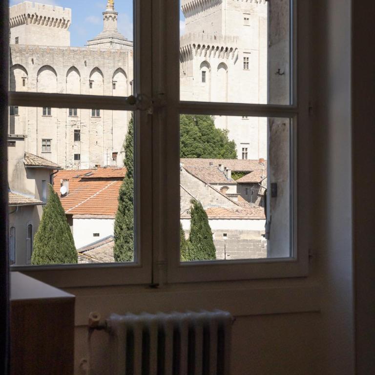 Avignon Intra-muros, vue Palais des Papes - Appartement - 47