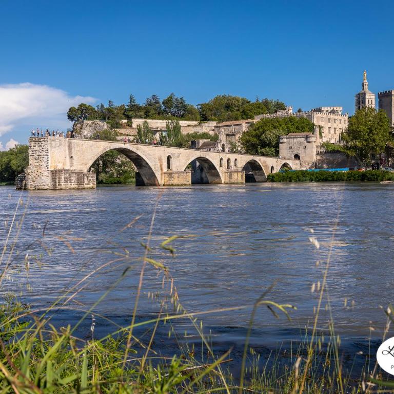 Avignon Intra-muros, vue Palais des Papes - Appartement - 55