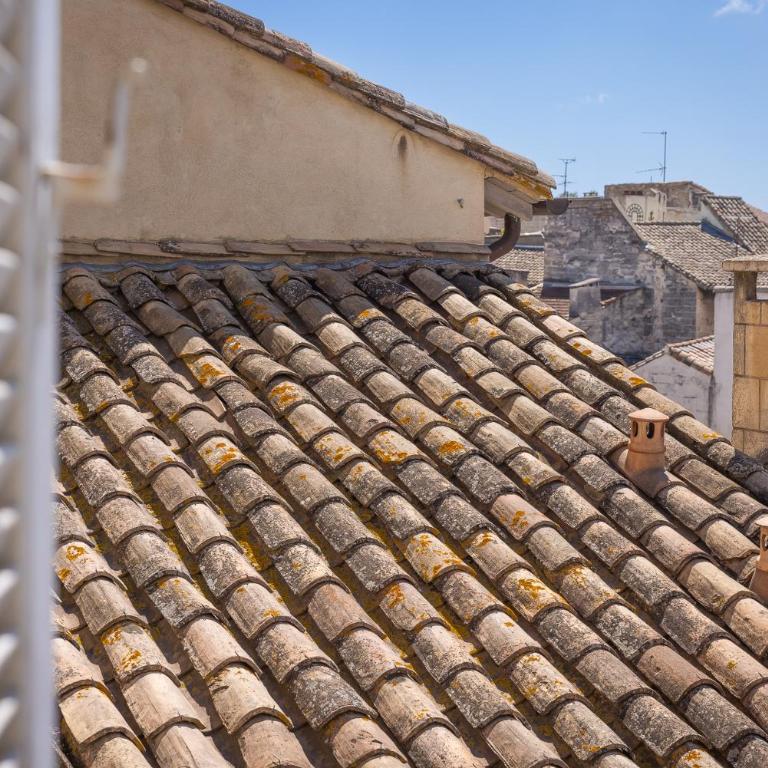 Avignon Intra-muros, vue Palais des Papes - Appartement - 57
