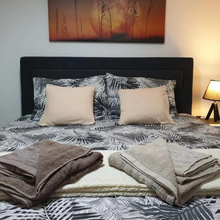 Apartman Djukic Sokobanja 1 - Two-Bedroom Apartment - 3