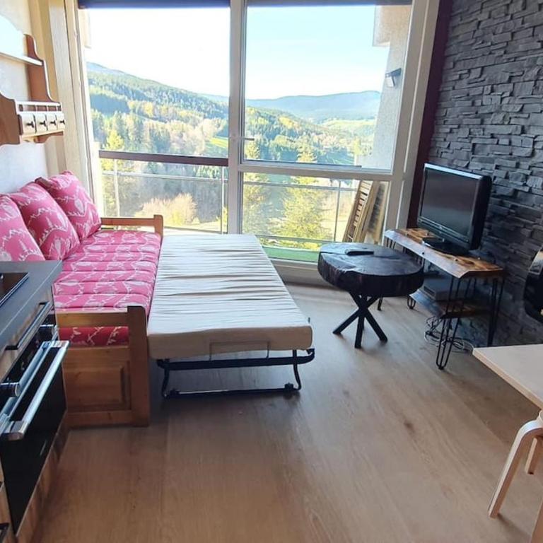 Studio tout confort aux Balcons de Villard de Lans - Appartamento con 1 Camera da Letto - 13