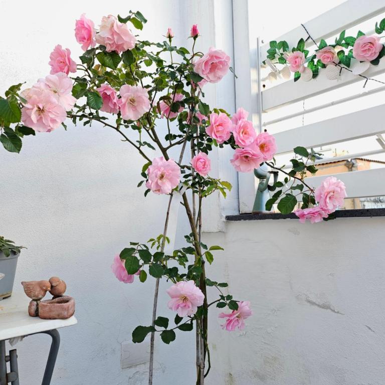 Sky-Terrace in Central Station, 3 bedrooms - Appartamento Attico - 28